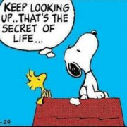 IMG_Snoopy